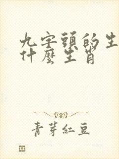 九字头的生肖是什么生肖