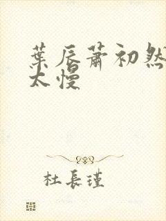 叶辰萧初然更新太慢