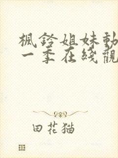 枫铃姐妹动漫第一季在线观看全集