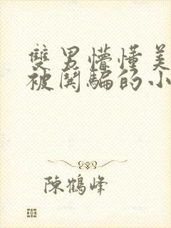 双男懵懂美人受被哄骗的小说