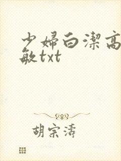 少妇白洁高义张敏txt