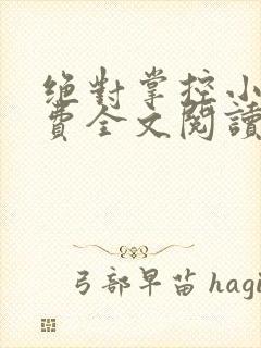 绝对掌控小说免费全文阅读笔趣阁