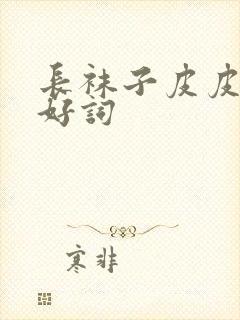 长袜子皮皮两字好词