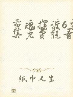 灵魂摆渡6季全集免费观看完整版封面