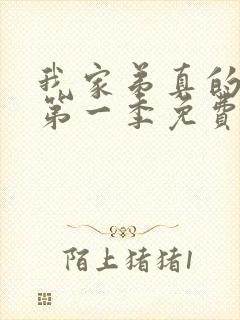 我家弟真的很棒第一季免费观看完整版