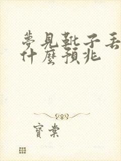 梦见靴子丢了是什么预兆