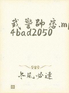 武警帅痞.mp4bad2050封面