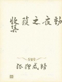 收获之夜动漫全集