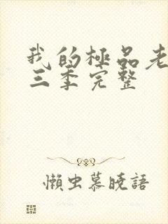 我的极品老婆第三季完整封面