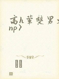 高h荤双男文〈np〉