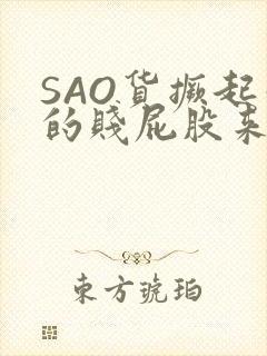 SAO货撅起你的贱屁股来