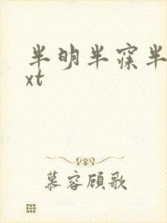半明半寐半夏txt封面
