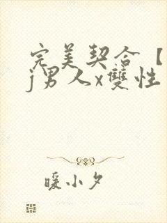 完美契合【双jj男人x双性男人】