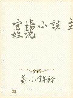 官场小说 主角姓沈