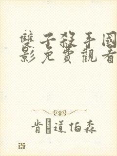 双子杀手国语电影免费观看