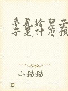 梦见给儿子买袜子是什么预兆