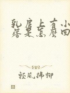 乳房上有小红疙瘩是怎么回事封面