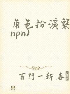 角色扮演系统(npn)