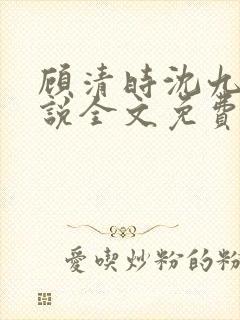 顾清时沈九笙小说全文免费阅读全文