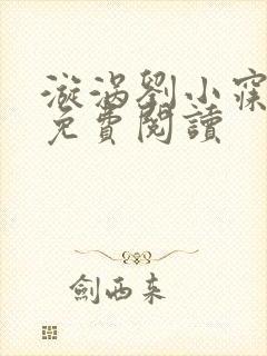 漩涡刘小寐全本免费阅读封面