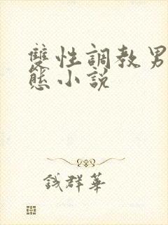 双性调教男奴变态小说