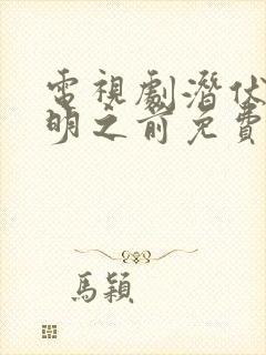 电视剧潜伏在黎明之前免费观看封面