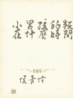 小男孩的叛逆期在什么时间段