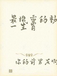 最机灵的动物猜一生肖