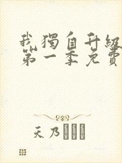 我独自升级动漫第一季免费观看