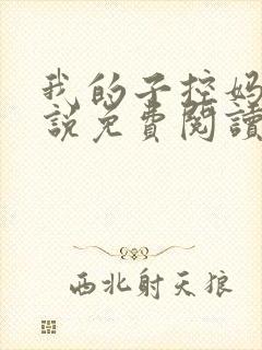 我的子控妈妈小说免费阅读最新章节