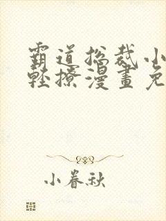 霸道总裁小叔请轻撩漫画免费下拉式六漫画