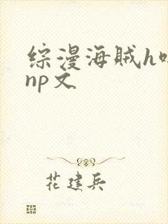 综漫海贼h啪肉np文