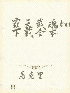 霸天武魂txt下载全本