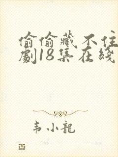 偷偷藏不住广播剧18集在线收听免费封面