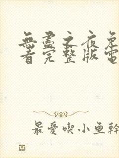 无尽之夜免费观看完整版电影封面