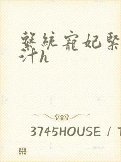 系统宠妃紧致多汁h封面