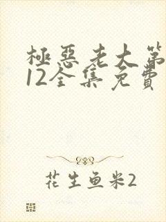 极恶老大第二季12全集免费观看