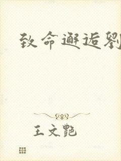 致命邂逅刘小寐