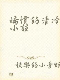 娇惯的清冷美人小说