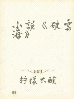 小说《破云2吞海》