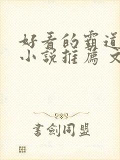 好看的霸道总裁小说推荐 文笔好封面