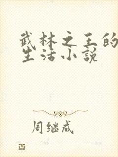 武林之王的退隐生活小说