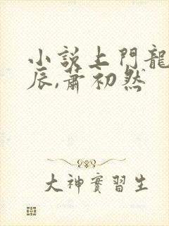 小说上门龙婿叶辰,萧初然