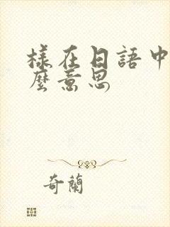 样在日语中是什么意思封面