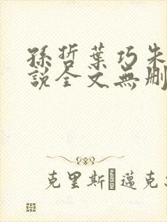 孙哲叶巧朱颜小说全文无删减免费阅读