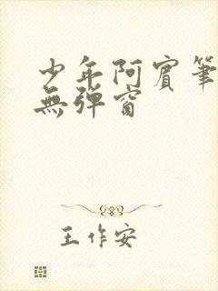 少年阿宾笔趣阁无弹窗