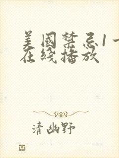 美国禁忌1一4在线播放