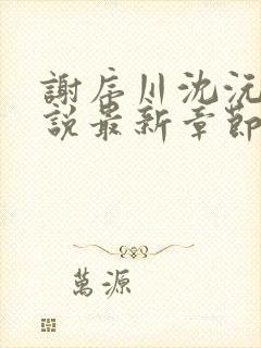 谢序川沈沅珠小说最新章节免费阅读