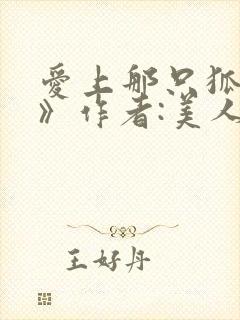 爱上那只狐狸精》作者:美人乔