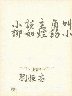 小说主角叫叶飞柳如烟的小说